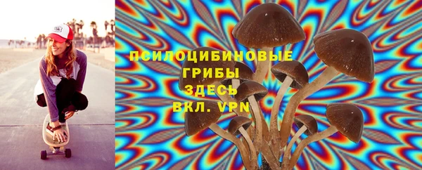 синтетический гашиш Алексин